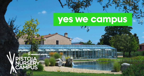 Tecniche vivaistiche, trees management, verde pubblico e privato: la formazione per aziende e professionisti del verde al Nursery Campus