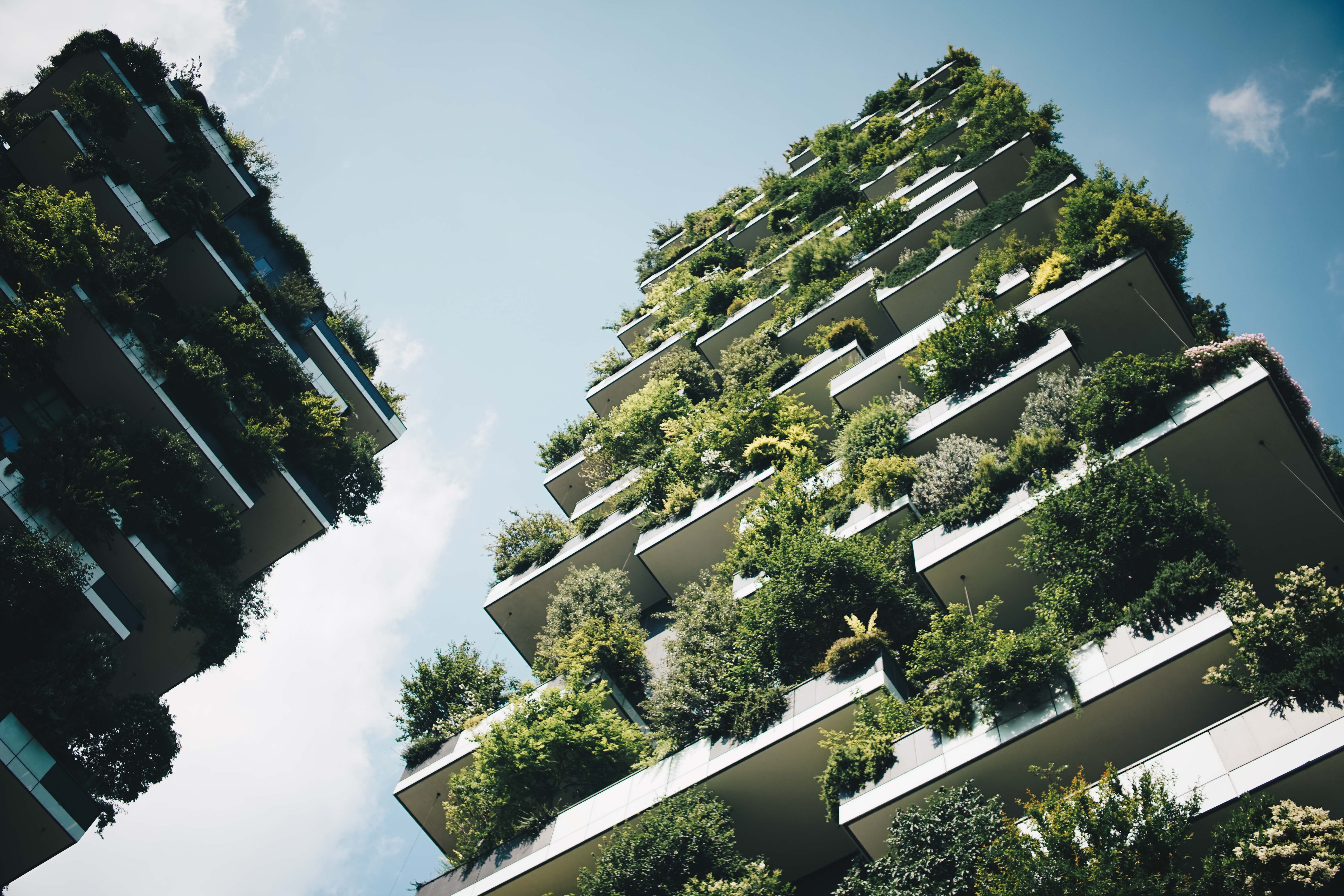 “Verde Verticale”: Realizzare Giardini Verticali per Cambiare le Città