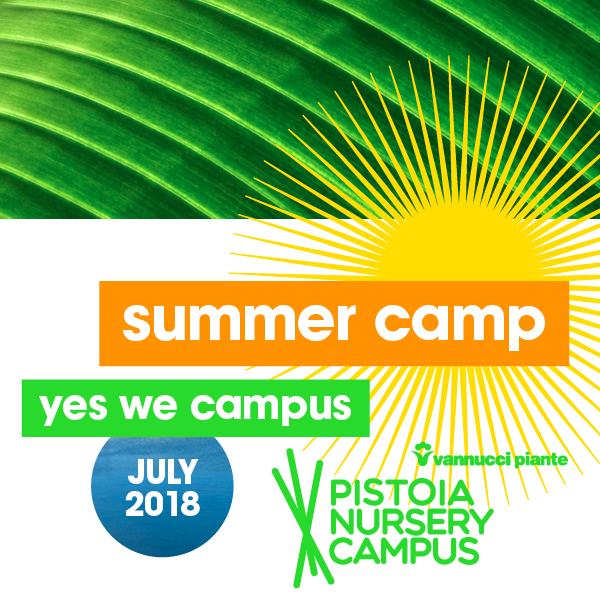 Summer Camp in Pistoia Nursery Campus