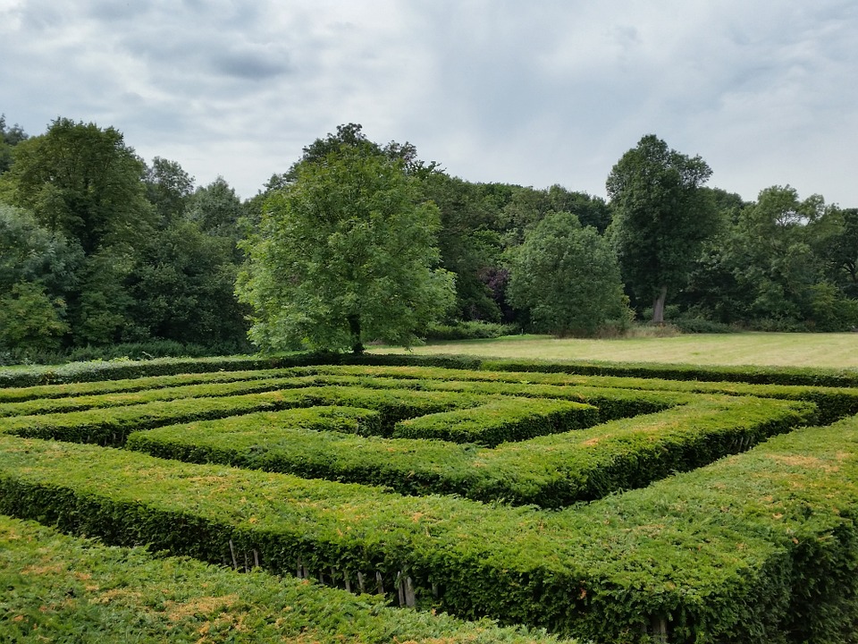 Progettare Spazi Verdi in 3D: il Programma dei Corsi Garden Design