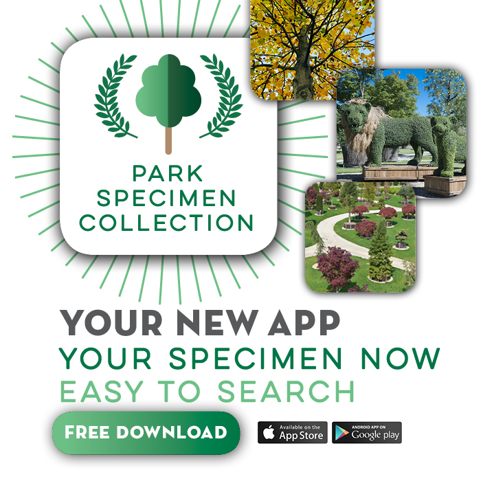 PARK SPECIMEN COLLECTION – LA NUOVA APP!