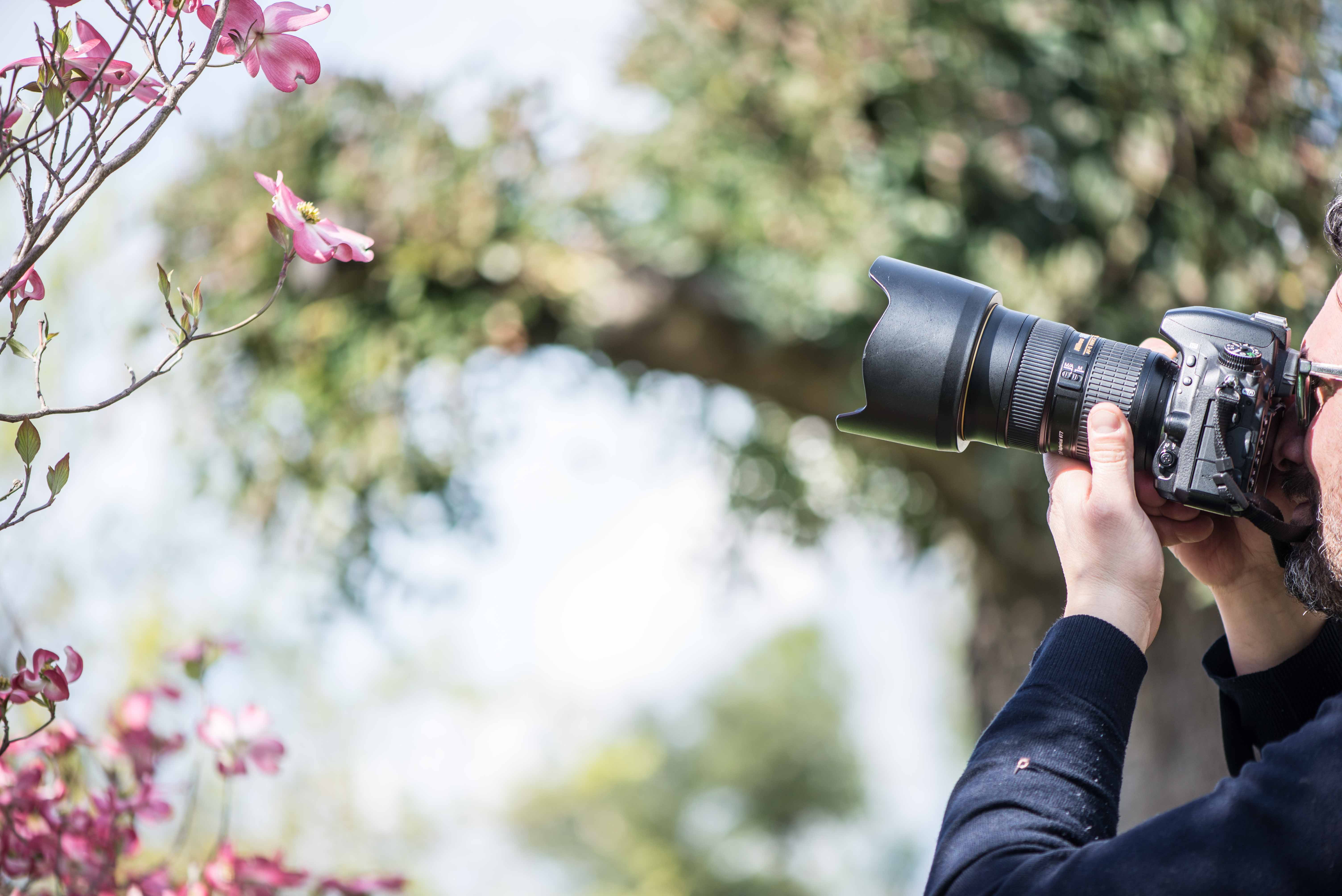 Fotografare il verde – bella giornata di workshop!